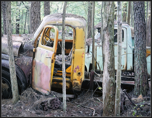 Trucks & Trees (2017)
91 x 71 cm
oil on linen